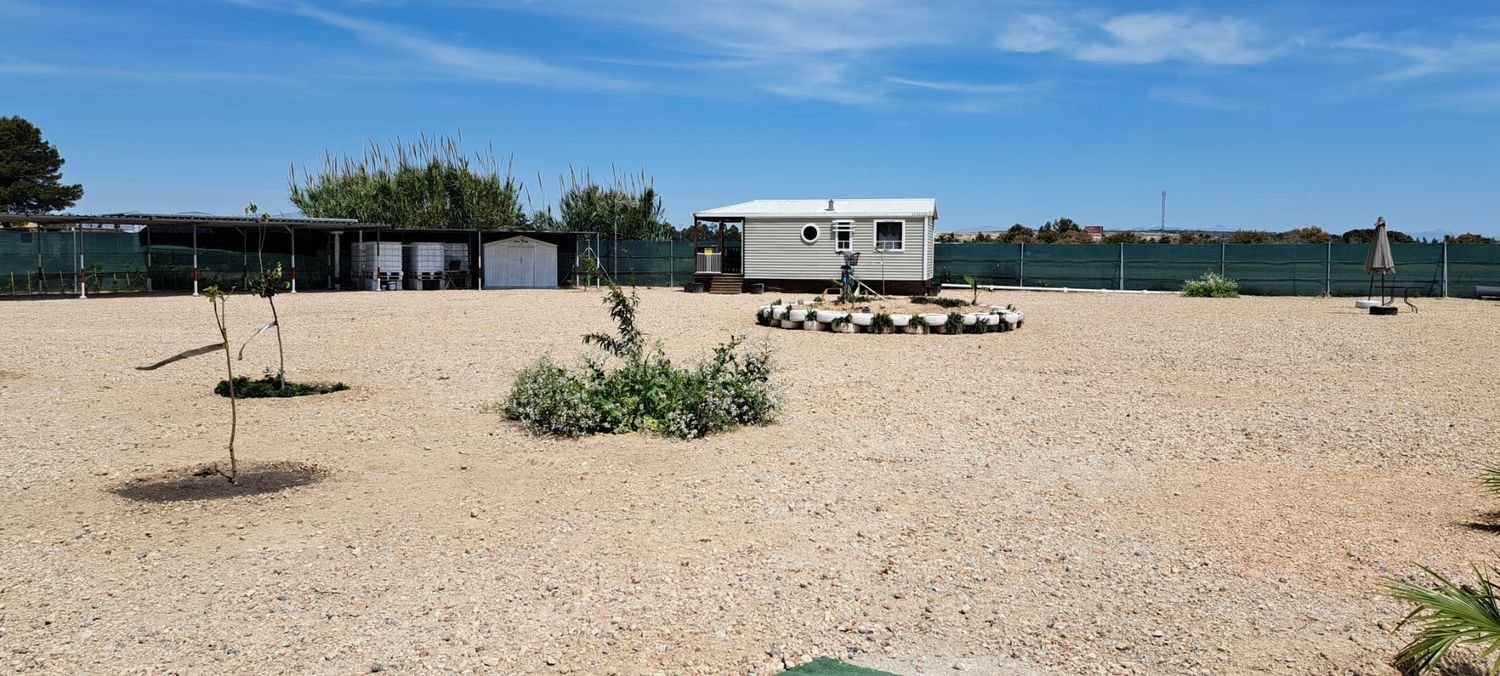 Terreno en Guardamar del Segura, Spain No. 282203