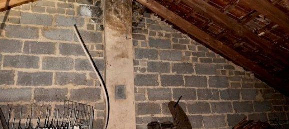 Таунхаус с 7 комнатами в Зарлуи, Германия № 343329 11