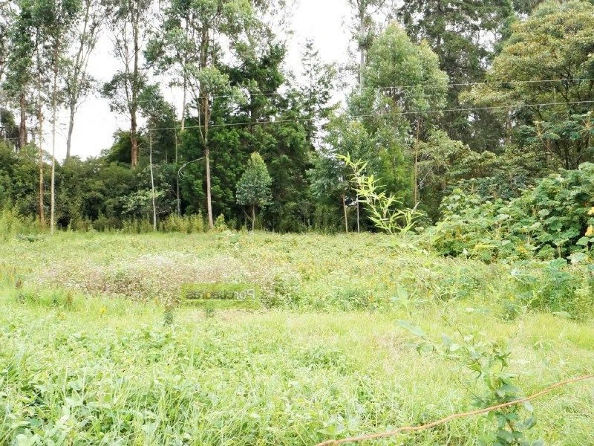  قطعة أرض في Antioquia, Colombia رقم 115