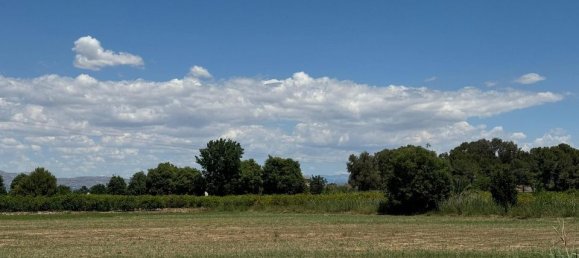 2 bedrooms Apartment in Almoradi, Spain No. 179479 26