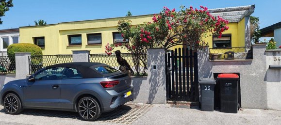 5 rooms Bungalow in Neudorfl, Austria No. 212107 22