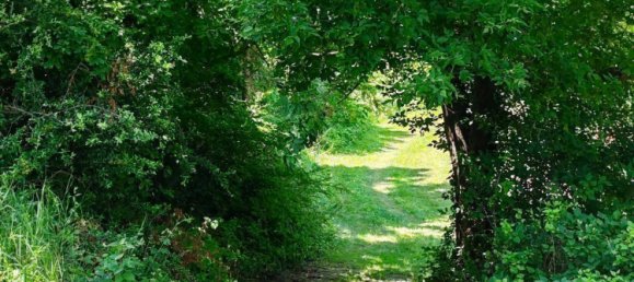 5 rooms Bungalow in Neudorfl, Austria No. 212107 39