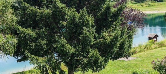 5 rooms Bungalow in Neudorfl, Austria No. 212107 4