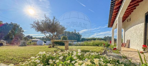 3 غرف نوم منزل في Avanca, Portugal رقم 172662 20