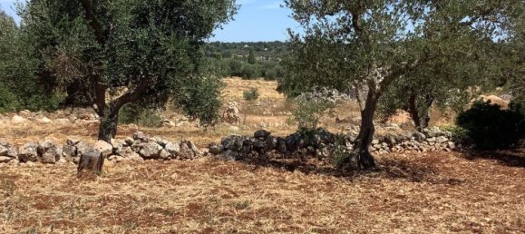 1 غرف نوم منزل في Ostuni, Italy رقم 315523 8