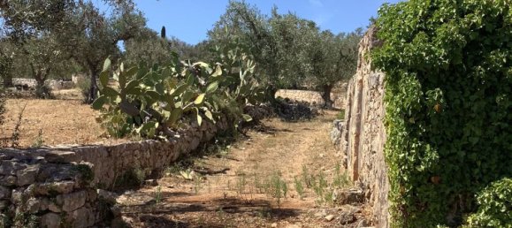 1 غرف نوم منزل في Ostuni, Italy رقم 315523 6