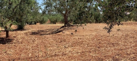 1 غرف نوم منزل في Ostuni, Italy رقم 315523 23