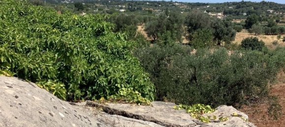 1 غرف نوم منزل في Ostuni, Italy رقم 315523 11