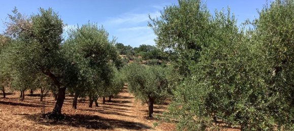 1 غرف نوم منزل في Ostuni, Italy رقم 315523 9