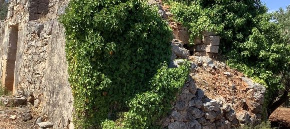 1 غرف نوم منزل في Ostuni, Italy رقم 315523 4