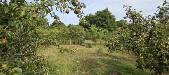 4 Schlafzimmer Haus in Lignac, France, Nr. 289615 18