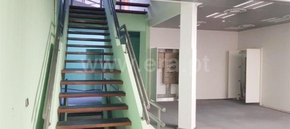 1225m² Building in Vila Real, Portugal No. 70790 6