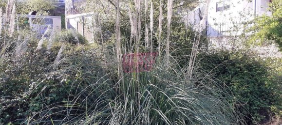 1570m² Land in Vila Nova de Gaia, Portugal No. 171473 3