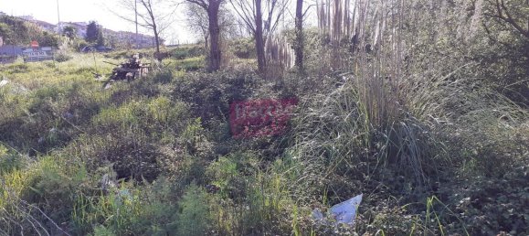 1570m² Land in Vila Nova de Gaia, Portugal No. 171473 4