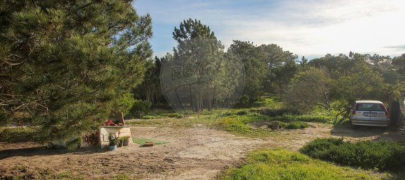 Casa de 1 dormitorio en Santiago do Cacem, Portugal No. 18087 12