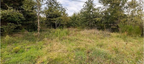 2 غرف نوم منزل في Mur-de-Sologne, France رقم 220670 6