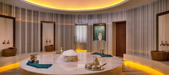 10187m² Land in Al Zorah, UAE No. 106425 16