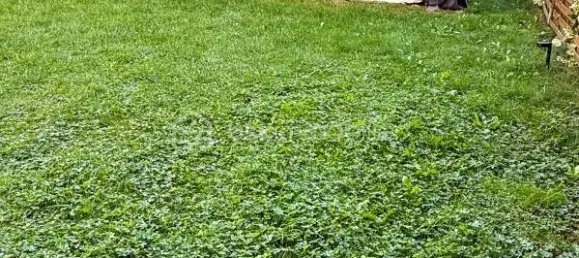 2 bedrooms Apartment in Montevrain, France No. 320753 18