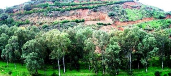 Дом с 7 спальнями в Михас, Испания № 85099 34