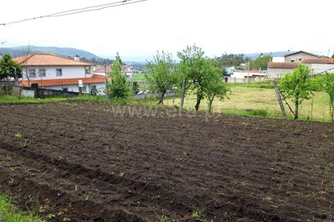  Land in Barcelos, Portugal No. 205213