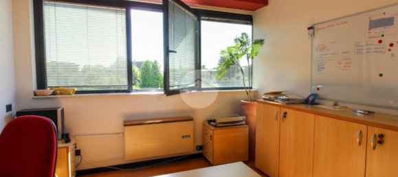 10 rooms Office in Cornegliano Laudense, Italy No. 65289 18