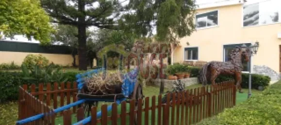 3 chambres Maison à Sintra, Portugal No. 147931 15