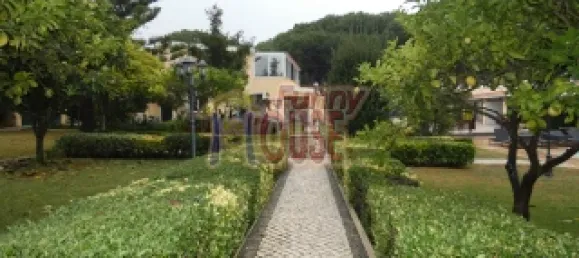 3 chambres Maison à Sintra, Portugal No. 147931 13