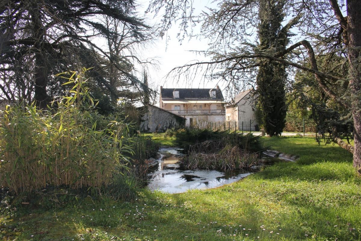 7 غرف نوم منزل في L'Ile-Bouchard, France رقم 51159