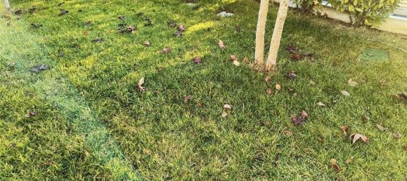 Villa de 6 habitaciónes en Lugo, Italy No. 120735 35