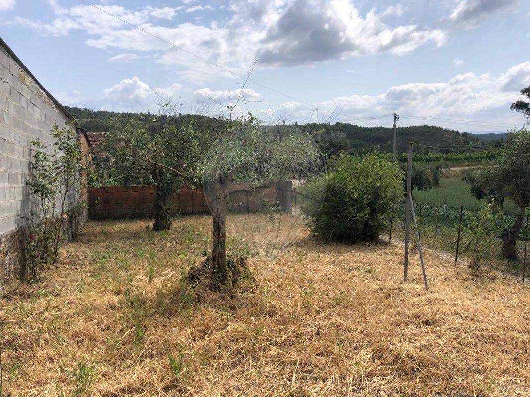 Casa T3 em Tábua, Portugal N.º 34483