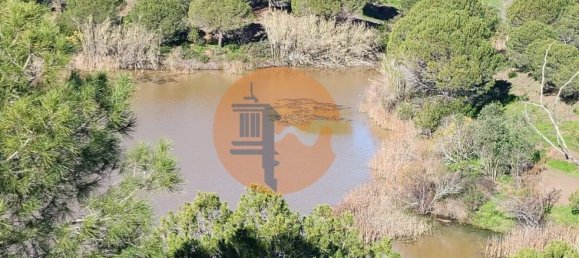 377080m² Land in Castro Marim, Portugal No. 137756 6