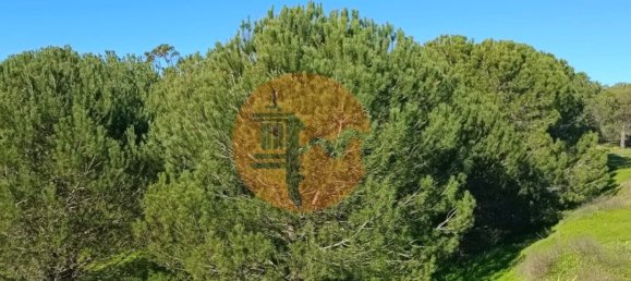 377080m² Land in Castro Marim, Portugal No. 137756 46