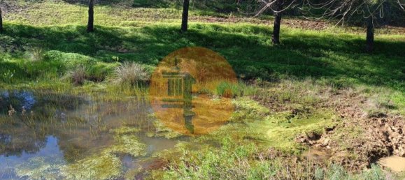 377080m² Land in Castro Marim, Portugal No. 137756 12