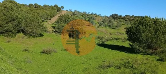 377080m² Land in Castro Marim, Portugal No. 137756 41