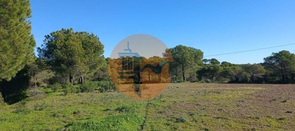 377080m² Land in Castro Marim, Portugal No. 137756 13