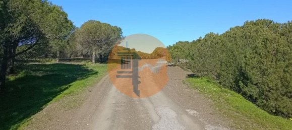 377080m² Land in Castro Marim, Portugal No. 137756 37
