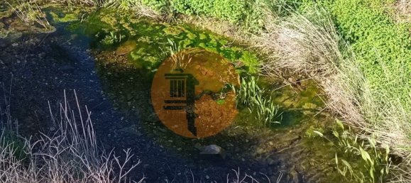 377080m² Land in Castro Marim, Portugal No. 137756 43