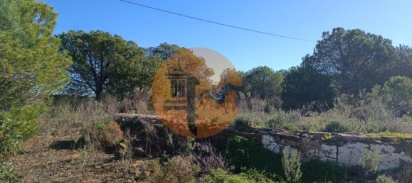 377080m² Land in Castro Marim, Portugal No. 137756 35