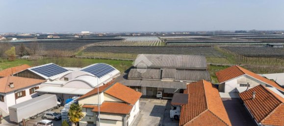 4 rooms House in Verzuolo, Italy No. 41634 6