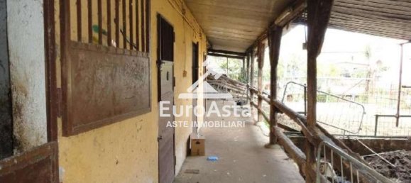 6 chambres Villa à Palermo, Italy No. 315598 22