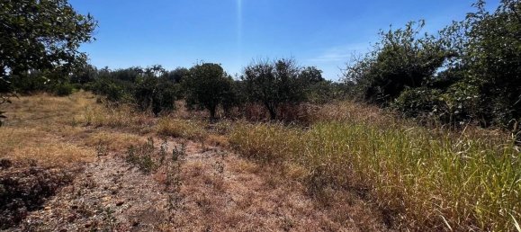 Земельный участок 20800м² в Фьюмефреддо ди Сицилия, Италия № 82709 8