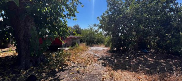 Земельный участок 20800м² в Фьюмефреддо ди Сицилия, Италия № 82709 19