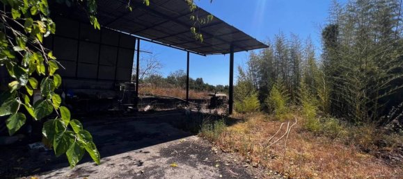 Земельный участок 20800м² в Фьюмефреддо ди Сицилия, Италия № 82709 21