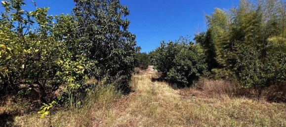 Земельный участок 20800м² в Фьюмефреддо ди Сицилия, Италия № 82709 9