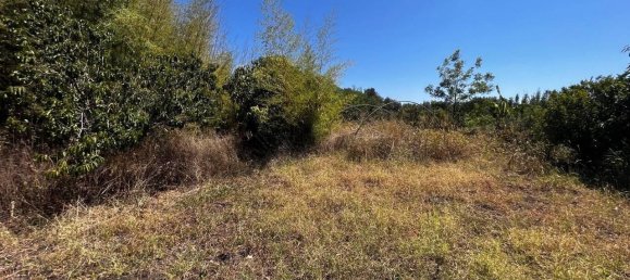 Земельный участок 20800м² в Фьюмефреддо ди Сицилия, Италия № 82709 11