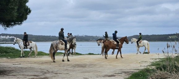 5 Schlafzimmer Haus in Obidos, Portugal, Nr. 140857 28
