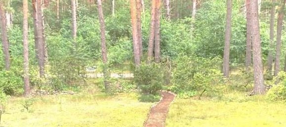 Casa T1 em Potsdam-Mittelmark, Germany N.º 62631 3