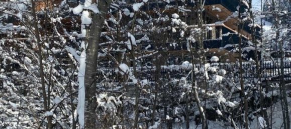 3 rooms Apartment in Kirchberg in Tirol, Austria No. 99546 7