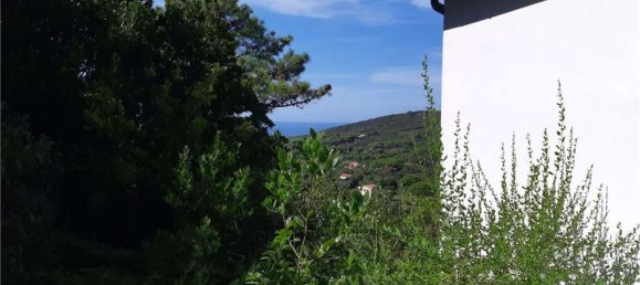 1 bedroom Apartment in Marciana, Italy No. 376924 18