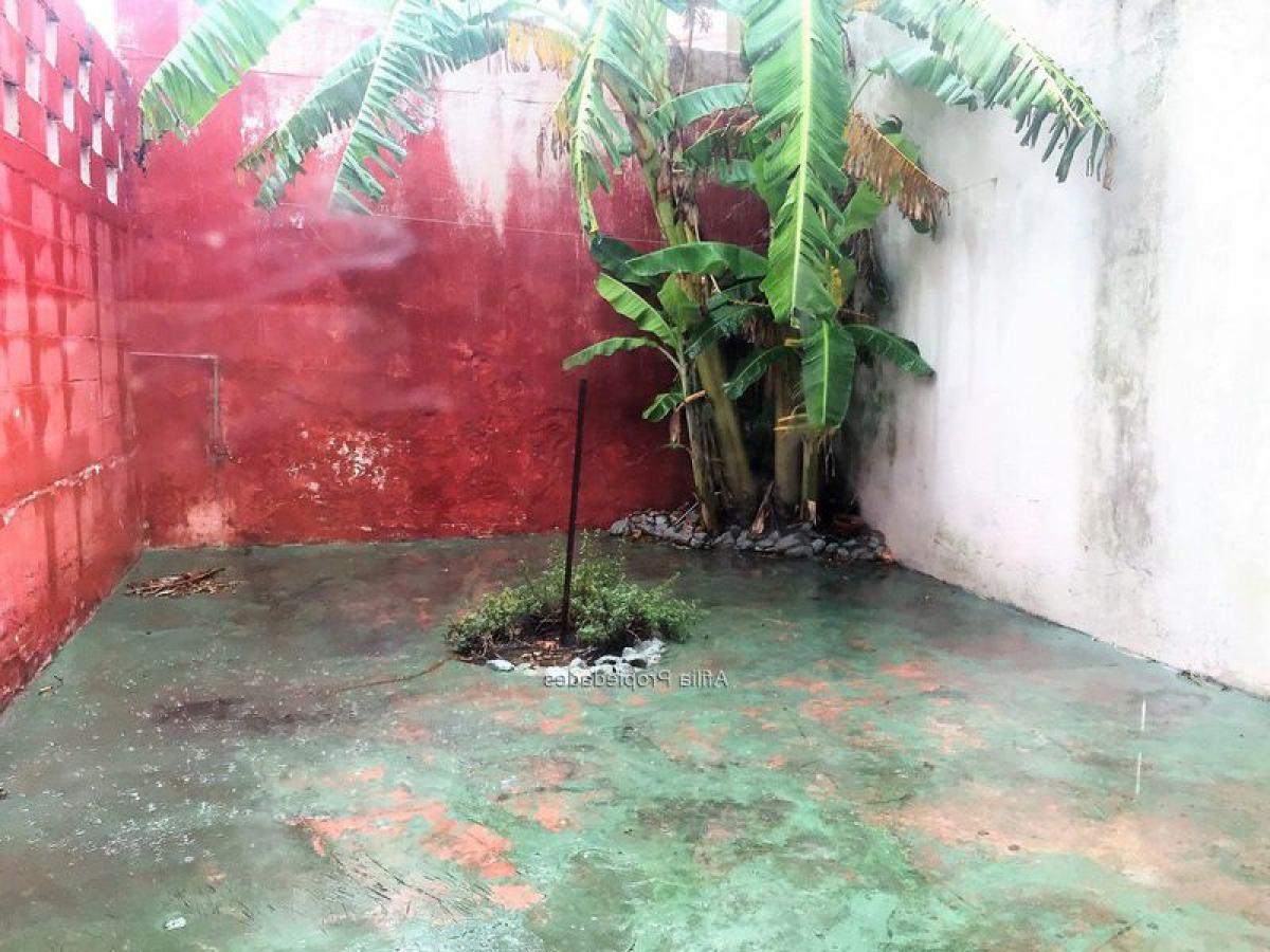 Estúdio em Montevideo, Uruguay N.º 10115